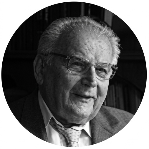 проф. др Светомир Бојанин